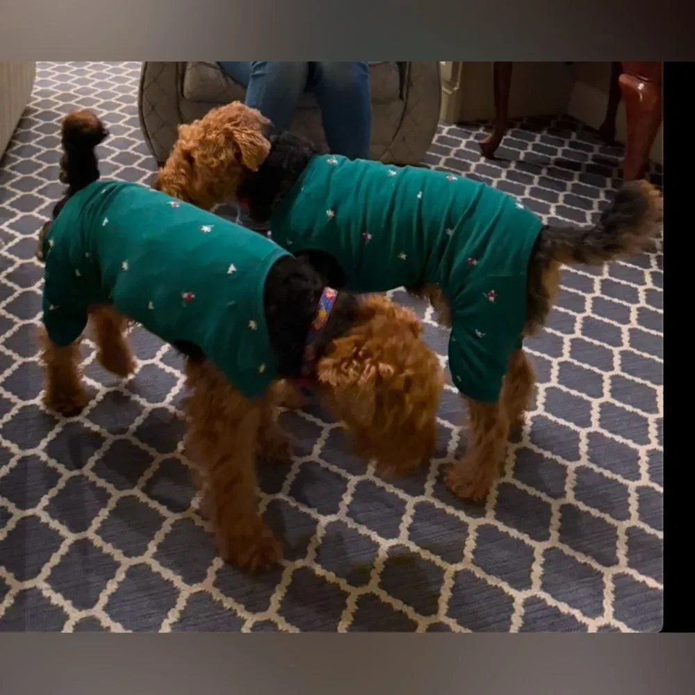 Polar Bear Print Jersey Holiday Family Dog Pajamas -‎ Wondershop™ Green M